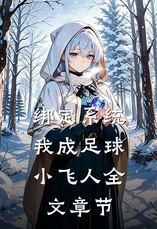 绑定系统：我成足球小飞人全文章节