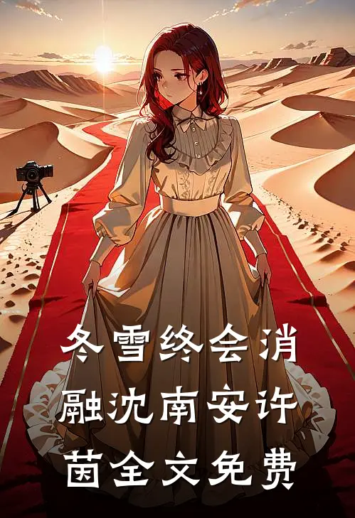 冬雪终会消融沈南安许茵全文免费