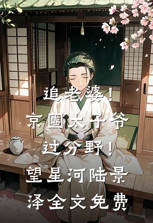 追老婆！京圈太子爷过分野！望星河陆景泽全文免费