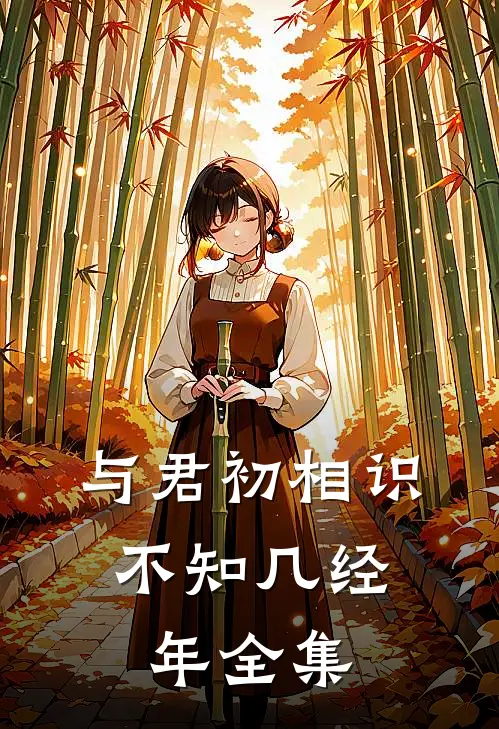 与君初相识，不知几经年 全集