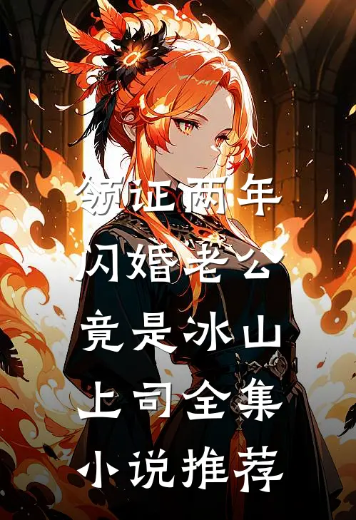 领证两年，闪婚老公竟是冰山上司全集小说推荐