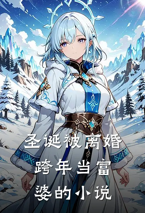 圣诞被离婚，跨年当富婆的小说