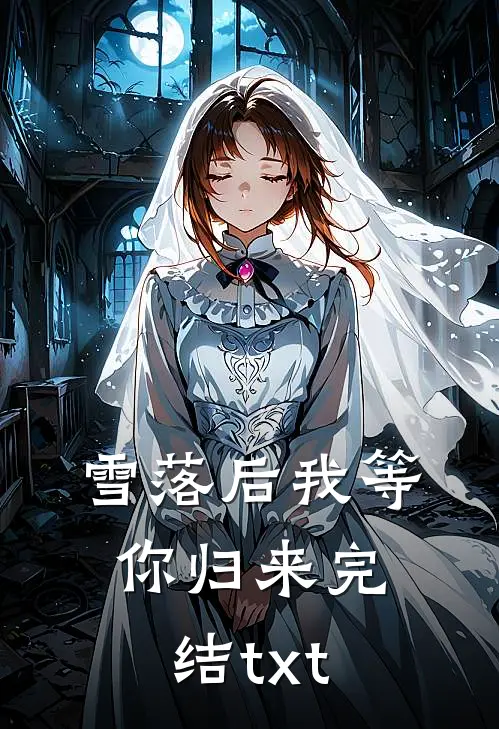 雪落后我等你归来完结txt