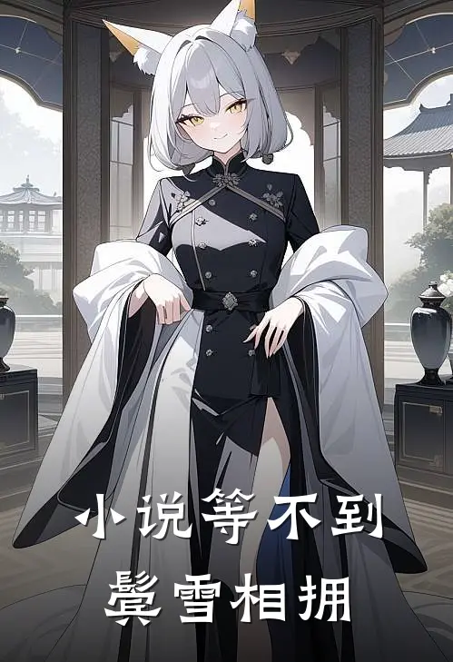 小说等不到鬓雪相拥