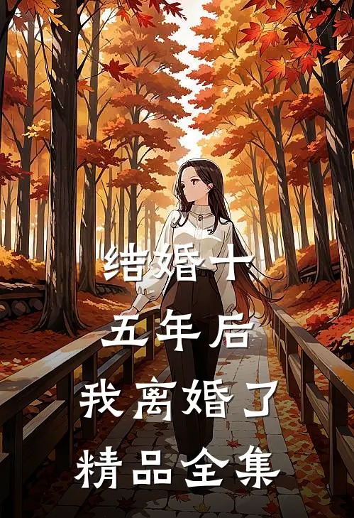 结婚十五年后，我离婚了精品全集
