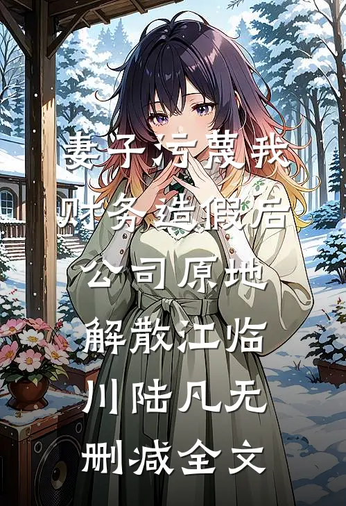 妻子污蔑我财务造假后，公司原地解散江临川陆凡无删减全文
