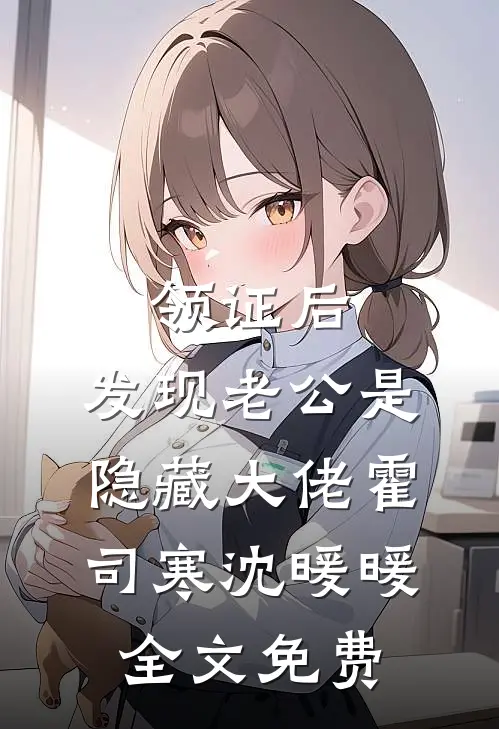 领证后，发现老公是隐藏大佬霍司寒沈暖暖全文免费
