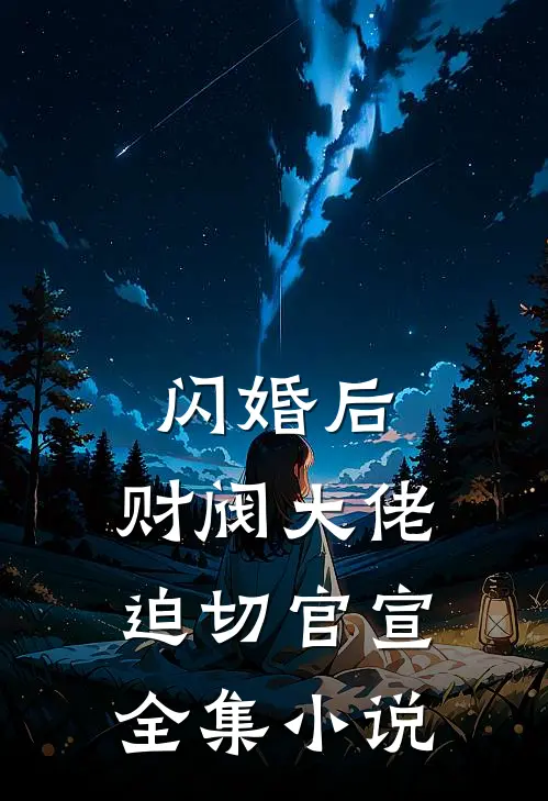 闪婚后，财阀大佬迫切官宣全集小说
