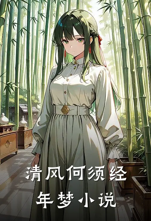 清风何须经年梦小说
