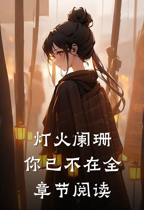 灯火阑珊，你已不在全章节阅读
