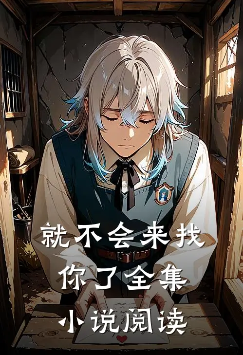 就不会来找你了全集小说阅读