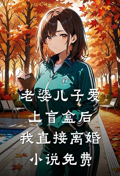 老婆儿子爱上盲盒后，我直接离婚小说免费