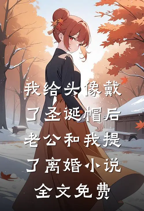 我给头像戴了圣诞帽后，老公和我提了离婚小说全文免费