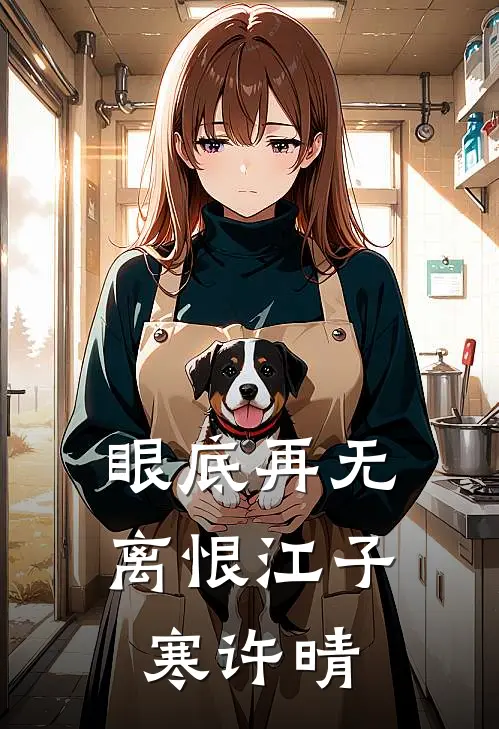 眼底再无离恨(江子寒许晴)