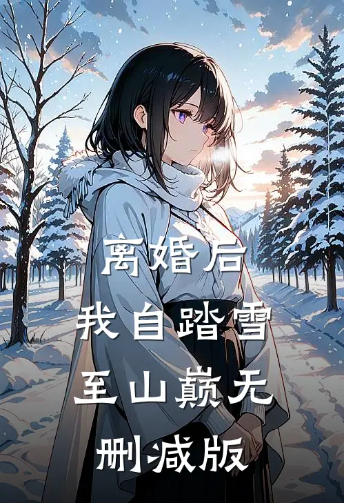 离婚后，我自踏雪至山巅无删减版