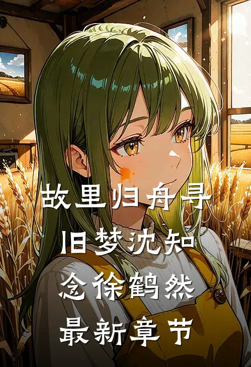 故里归舟寻旧梦沈知念徐鹤然最新章节