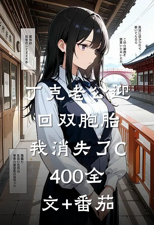 丁克老公迎回双胞胎，我消失了C400全文+番茄