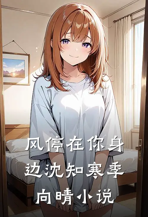 风停在你身边沈知寒季向晴小说