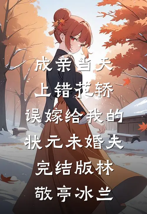 成亲当天上错花轿，误嫁给我的状元未婚夫完结版林敬亭冰兰