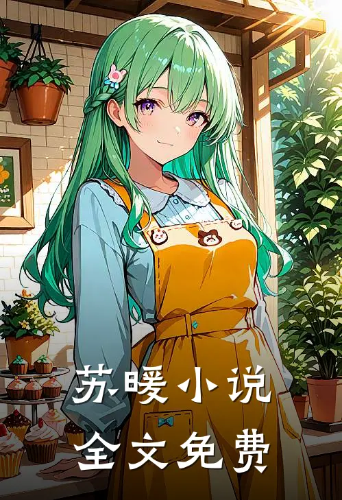 苏暖小说全文免费