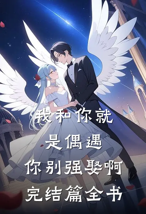 我和你就是偶遇，你别强娶啊完结篇全书