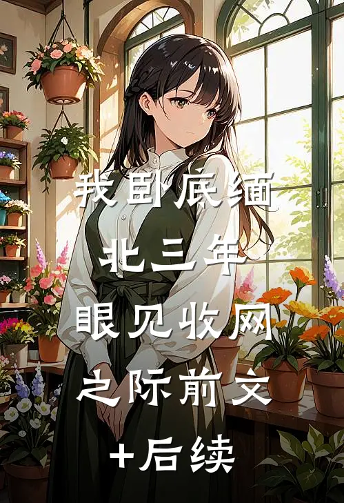 我卧底缅北三年，眼见收网之际前文+后续