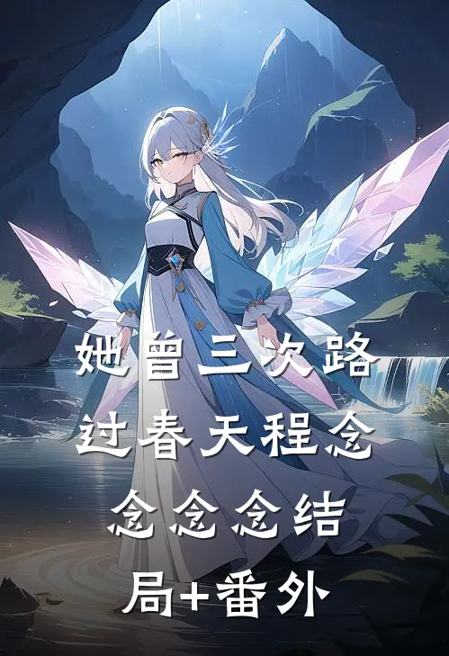 她曾三次路过春天程念念念念结局+番外