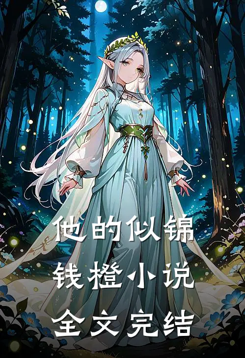 他的似锦钱橙小说全文完结