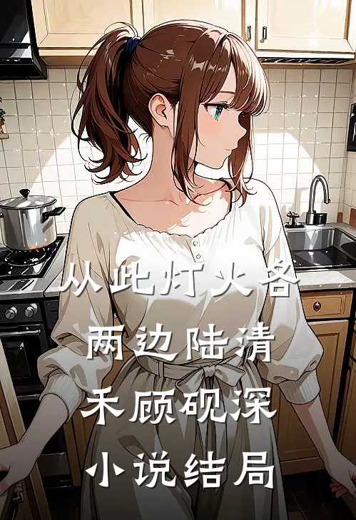 从此灯火各两边陆清禾顾砚深小说结局