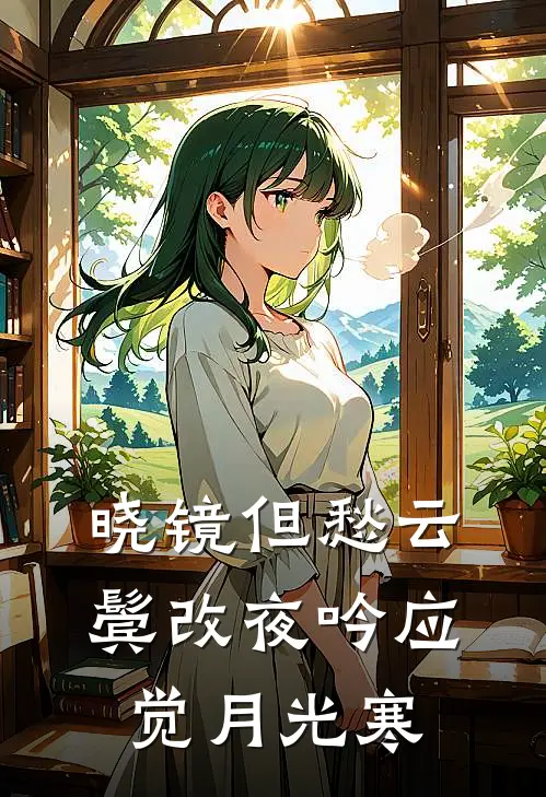 晓镜但愁云鬓改 夜吟应觉月光寒