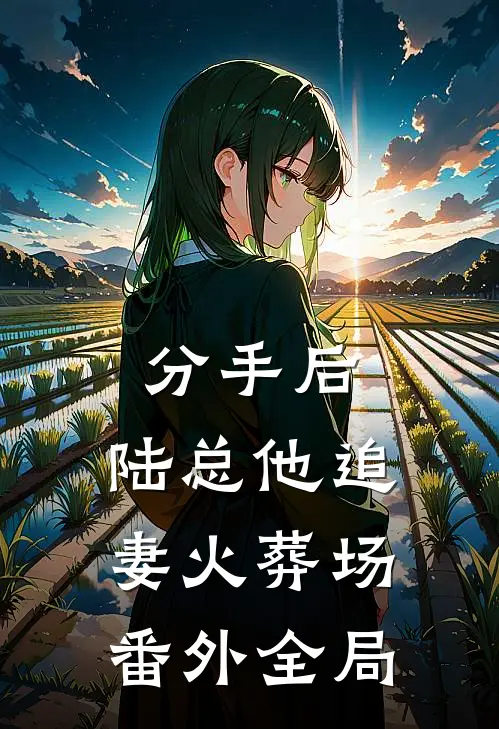 分手后，陆总他追妻火葬场 番外全局