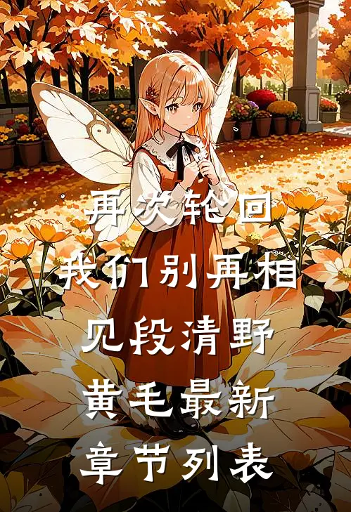 再次轮回，我们别再相见段清野黄毛最新章节列表