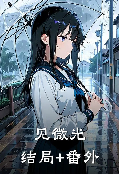 见微光: 结局+番外