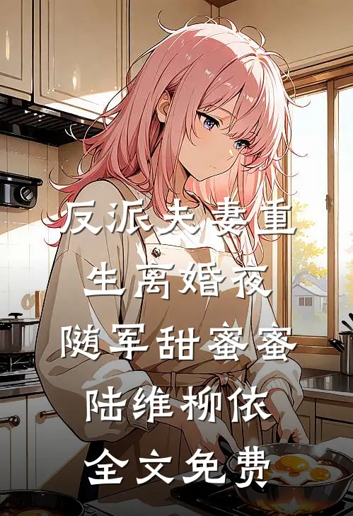 反派夫妻重生离婚夜，随军甜蜜蜜陆维柳依全文免费