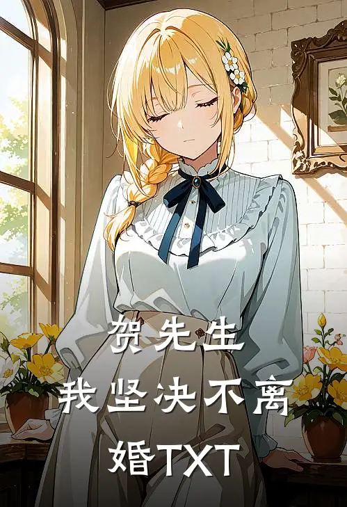 贺先生，我坚决不离婚TXT