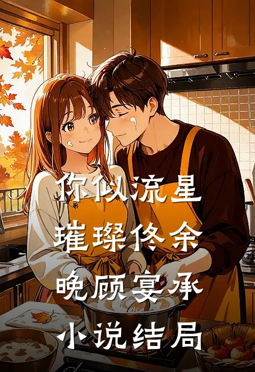 你似流星璀璨佟余晚顾宴承小说结局