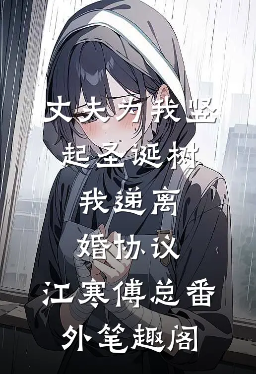 丈夫为我竖起圣诞树，我递离婚协议：江寒傅总番外笔趣阁