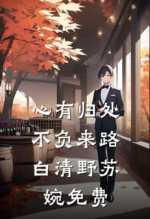 心有归处，不负来路白清野苏婉免费